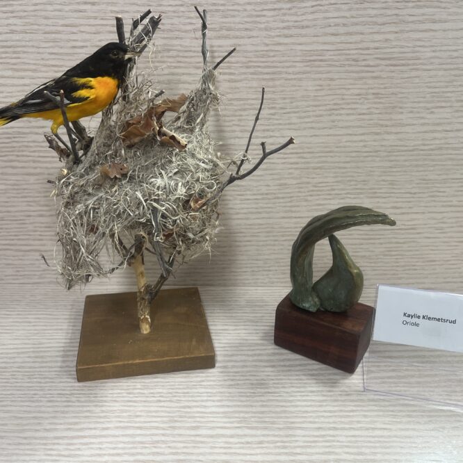 Avian Abstraction:  Bronze Cast